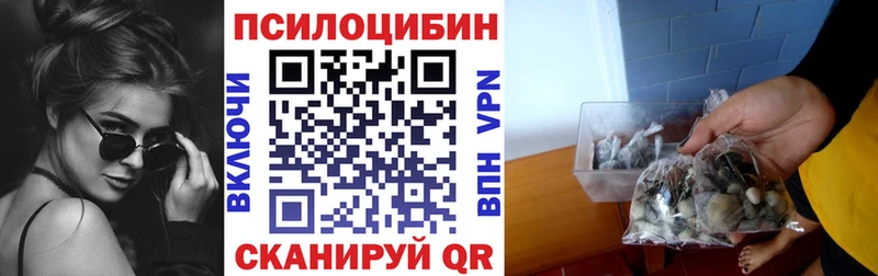 Галлюциногенные грибы Psilocybe Таруса